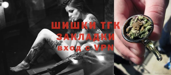 прущие грибы Горно-Алтайск