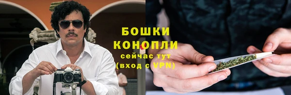 spice Горняк