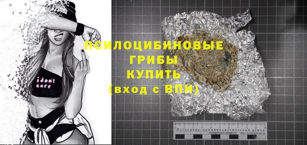 бошки Горнозаводск