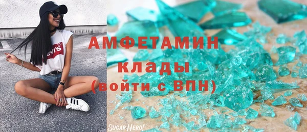 прущие грибы Горно-Алтайск