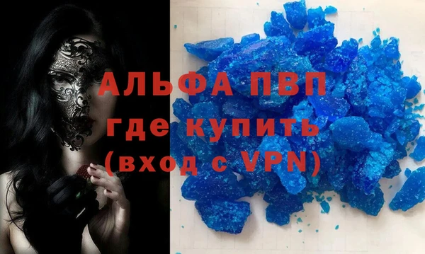 прущие грибы Горно-Алтайск