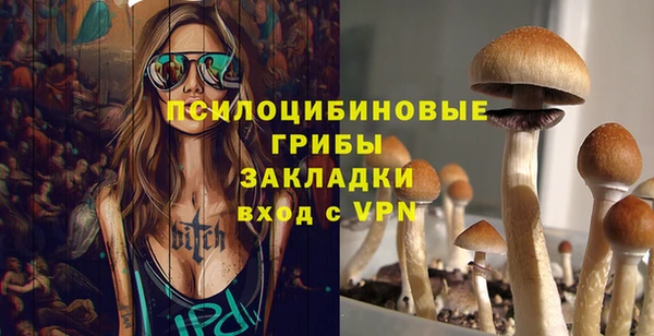 бошки Горнозаводск
