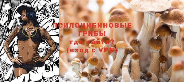 бошки Горнозаводск