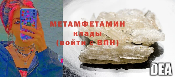 прущие грибы Горно-Алтайск