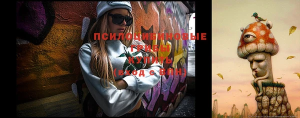 прущие грибы Горно-Алтайск