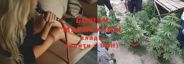 прущие грибы Горно-Алтайск