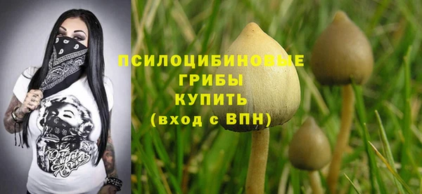 прущие грибы Горно-Алтайск