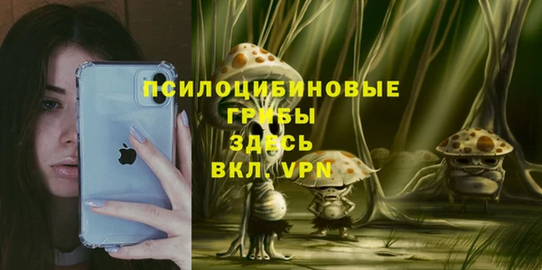 бошки Горнозаводск